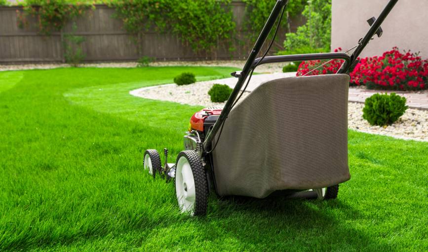 Joshua Yard & Lawn Services
