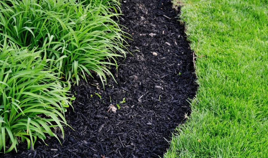 Joshua Yard & Lawn Services